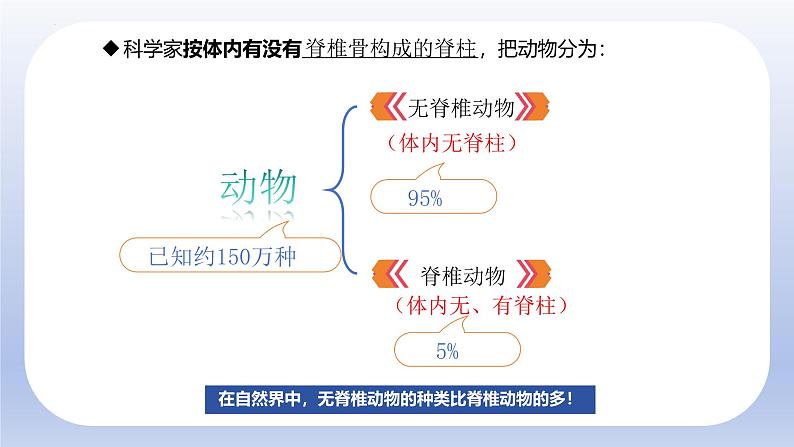 人教版生物七年级上册2.2.1《无脊椎动物》教学课件第5页