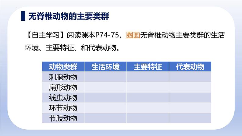 人教版生物七年级上册2.2.1《无脊椎动物》教学课件第7页