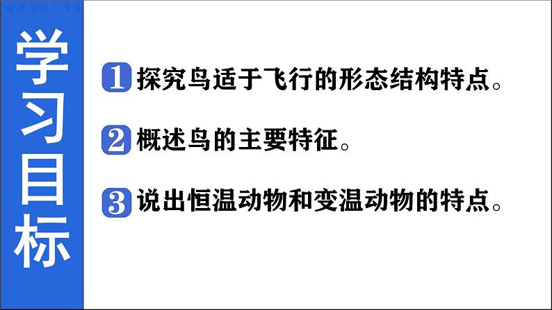 人教版生物七年级上册2.2.2《脊椎动物—鸟》教学课件第2页