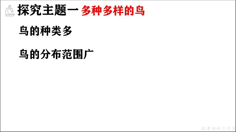 人教版生物七年级上册2.2.2《脊椎动物—鸟》教学课件第4页