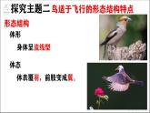 人教版生物七年级上册2.2.2《脊椎动物—鸟》教学课件