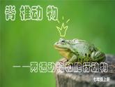 人教版生物七年级上册2.2.2《脊椎动物-两栖和爬行动物》教学课件