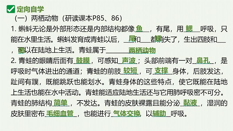 人教版生物七年级上册2.2.2《脊椎动物-两栖和爬行动物》教学课件04