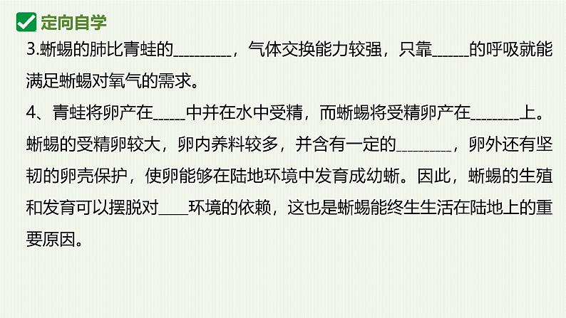 人教版生物七年级上册2.2.2《脊椎动物-两栖和爬行动物》教学课件06