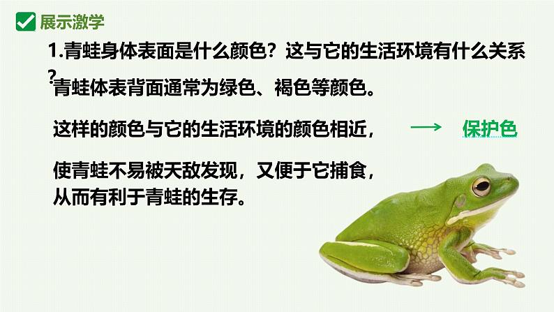 人教版生物七年级上册2.2.2《脊椎动物-两栖和爬行动物》教学课件08