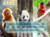 人教版生物七年级上册2.2.2《无脊椎动物-鸟和哺乳动物》教学课件