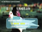 人教版生物七年级上册2.2.2《无脊椎动物-鸟和哺乳动物》教学课件