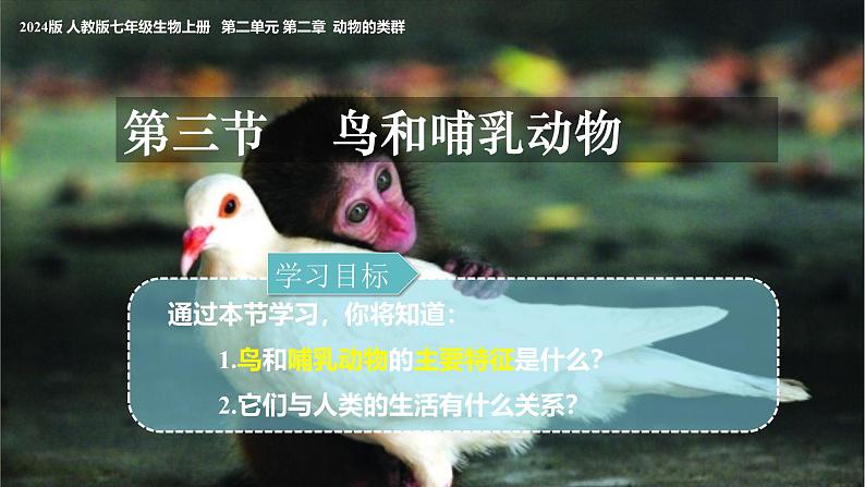 人教版生物七年级上册2.2.2《无脊椎动物-鸟和哺乳动物》教学课件第2页