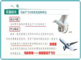 人教版生物七年级上册2.2.2《无脊椎动物-鸟和哺乳动物》教学课件