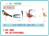 人教版生物七年级上册2.2.2《无脊椎动物-鸟和哺乳动物》教学课件