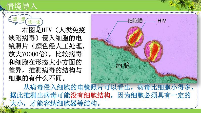 人教版生物七年级上册2.3.4《病毒》教学课件第3页