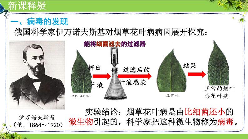 人教版生物七年级上册2.3.4《病毒》教学课件第6页