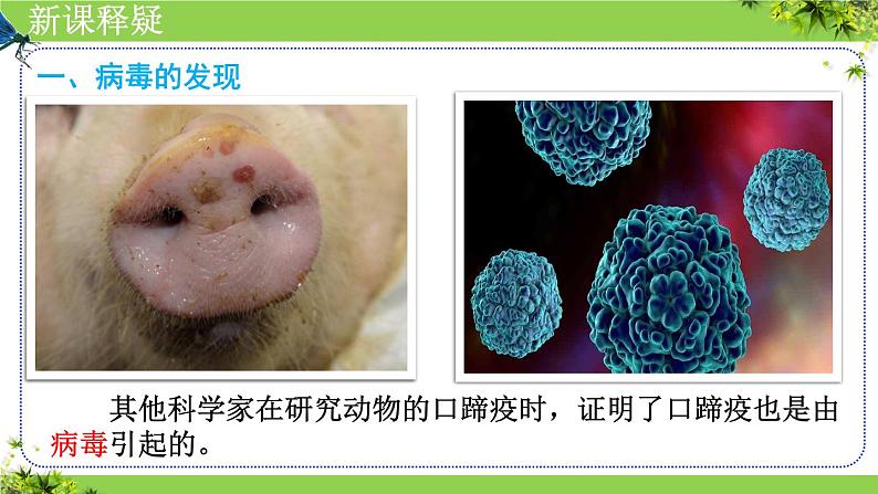 人教版生物七年级上册2.3.4《病毒》教学课件第7页