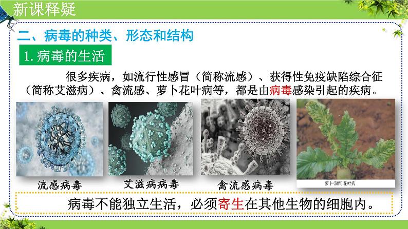 人教版生物七年级上册2.3.4《病毒》教学课件第8页