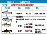 人教版生物七年级上册2.2.2《鱼》教学课件