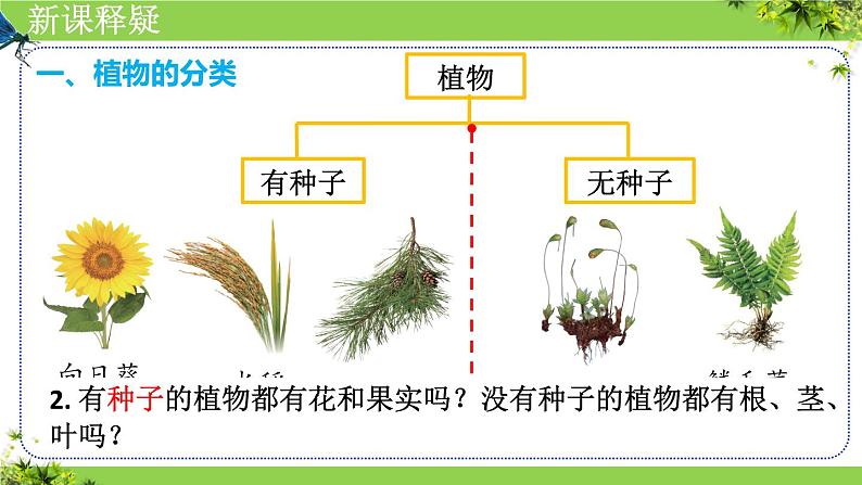 人教版生物七年级上册2.4.1《尝试对生物进行分类》课件第7页