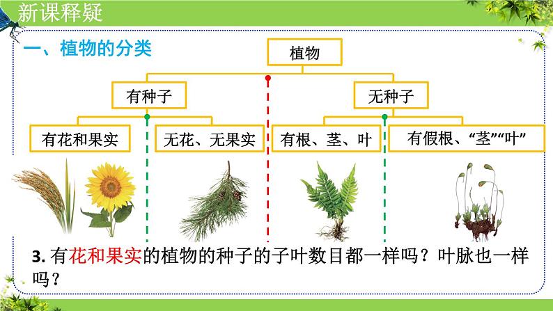 人教版生物七年级上册2.4.1《尝试对生物进行分类》课件第8页