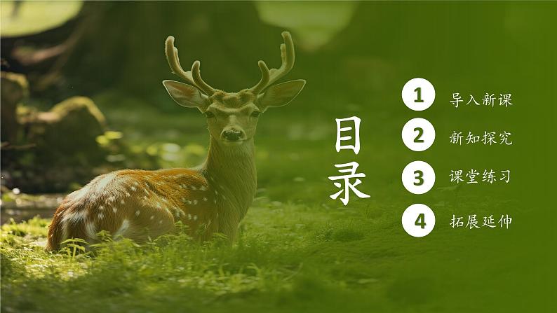 人教版生物八年级上册6.3《保护生物的多样性》课件第2页