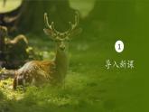 人教版生物八年级上册6.3《保护生物的多样性》课件