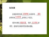 人教版生物八年级上册6.3《保护生物的多样性》课件