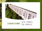 人教版生物八年级上册6.3《保护生物的多样性》课件