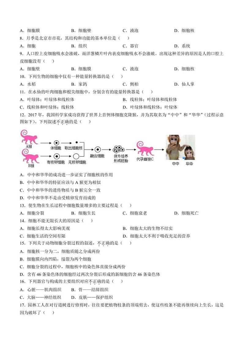 北京市西城区外国语学校2024～2025学年七年级(上)期中生物试卷(含答案)第2页
