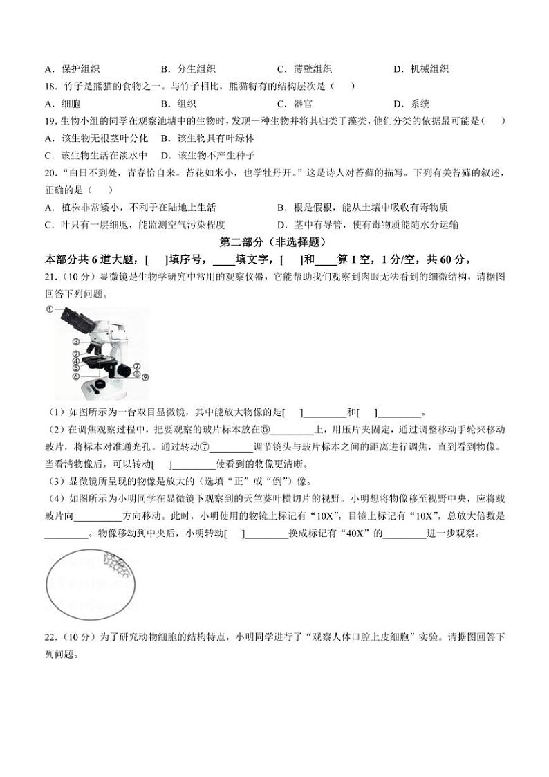 北京市西城区外国语学校2024～2025学年七年级(上)期中生物试卷(含答案)第3页