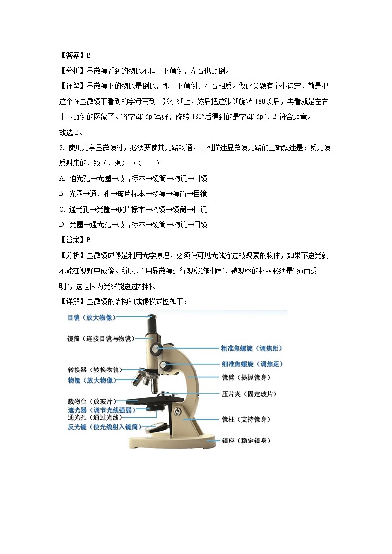 2024-2025学年山东省临沂市七年级(上)第一次月考生物试卷(解析版)第3页