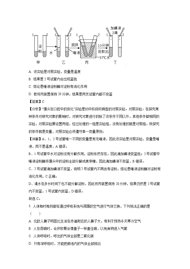 2023-2024学年山东省东营市垦利区(五四制)七年级(上)11月教学联盟限时作业生物试卷(解析版)第3页