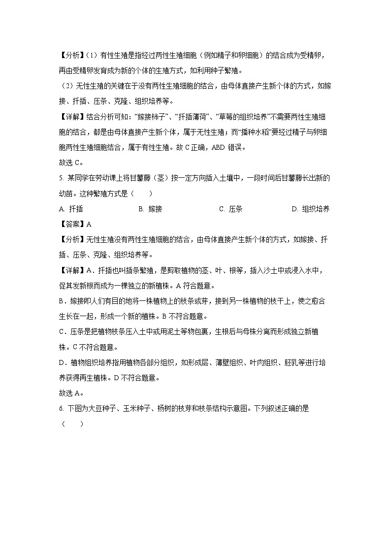 2023-2024学年山东省枣庄市市中区八年级(上)期中联合教研质量监测生物试卷(解析版)第3页
