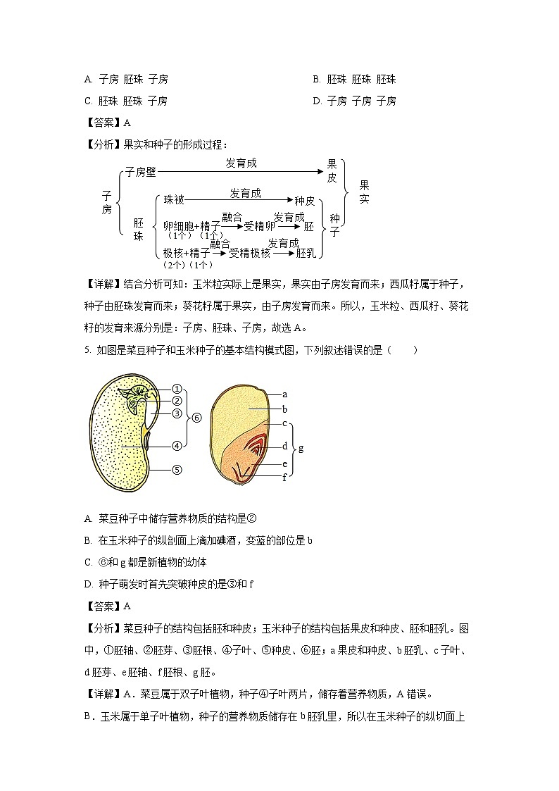 2023-2024学年山东省济宁市微山县八年级(上)期中学生物试卷(解析版)第3页
