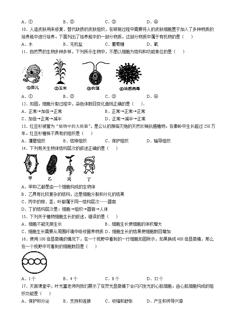 福建省福州市杨桥中学2024-2025学年七年级上学期期中生物学试题(无答案)第2页