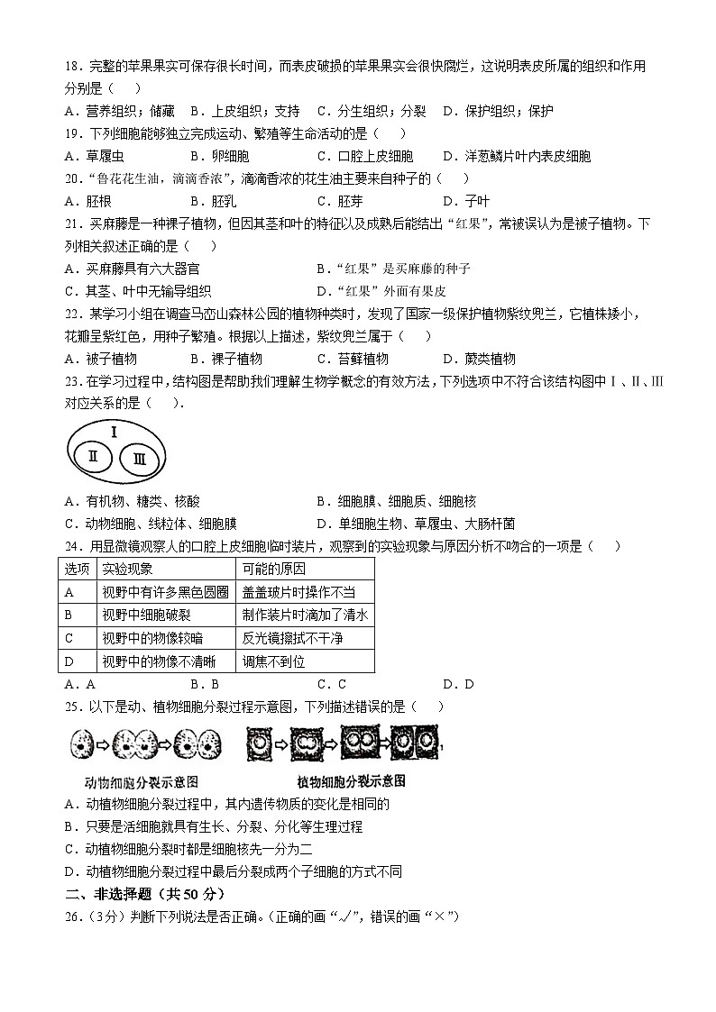 福建省福州市杨桥中学2024-2025学年七年级上学期期中生物学试题(无答案)第3页
