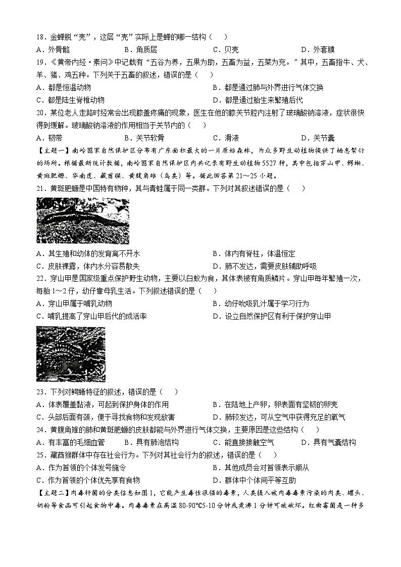 广东省东莞市塘厦初级中学2024-2025学年八年级上学期期中生物学试题(无答案)第3页