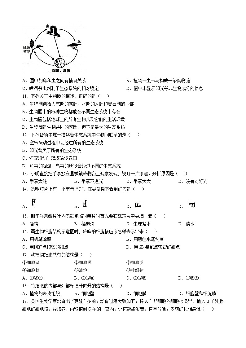 河南省南阳市南召县2023-2024学年七年级上学期期中生物学试题02