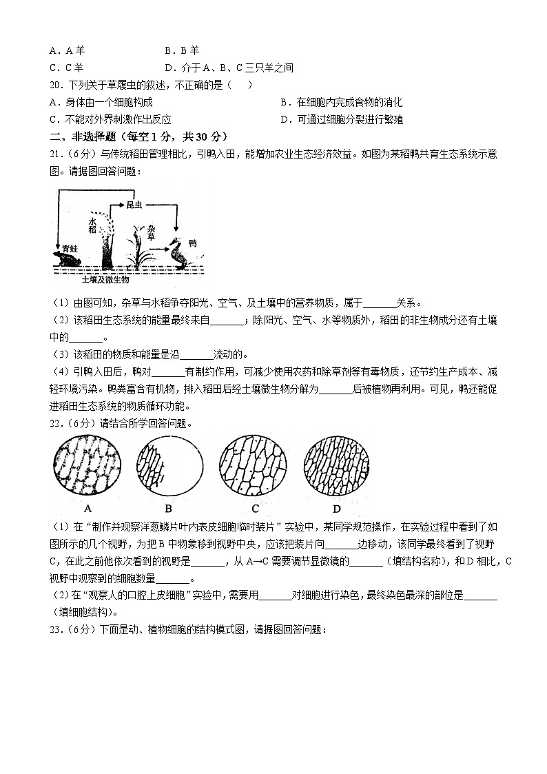 河南省南阳市南召县2023-2024学年七年级上学期期中生物学试题03