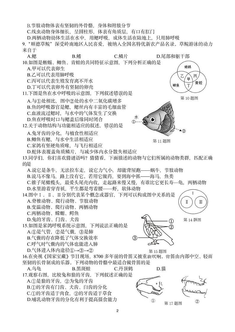 2024学年第一学期期中学科素养展示生物试卷第2页