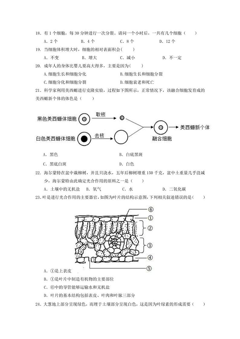 福建省南平市剑津中学2024～2025学年七年级(上)期中质量检测生物试卷(含答案)第3页