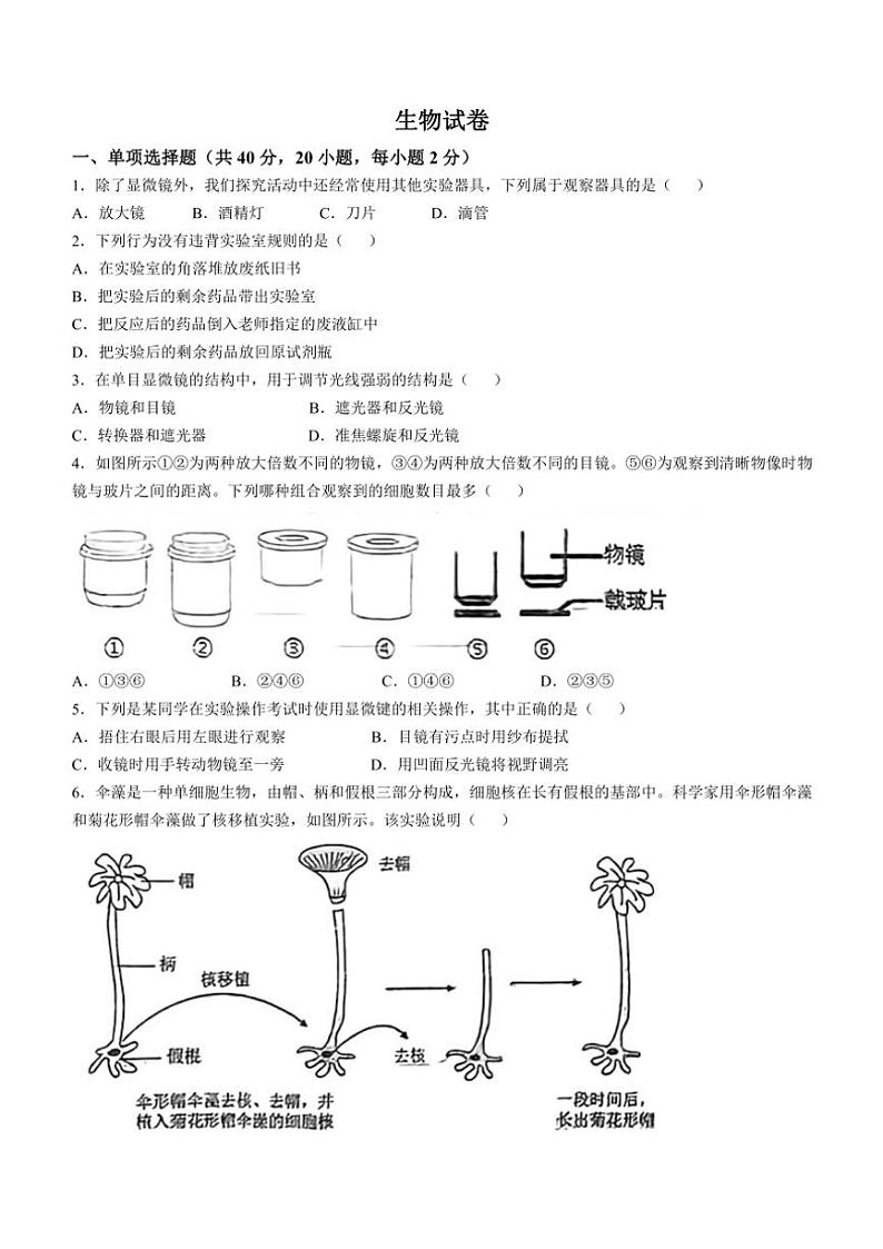 辽宁省鞍山市高新区2024～2025学年七年级(上)期中生物试卷(含答案)第1页