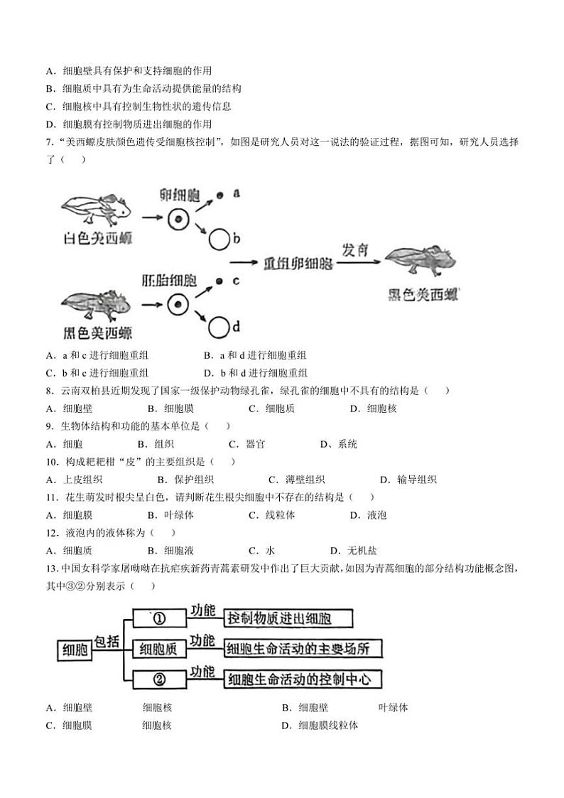 辽宁省鞍山市高新区2024～2025学年七年级(上)期中生物试卷(含答案)第2页