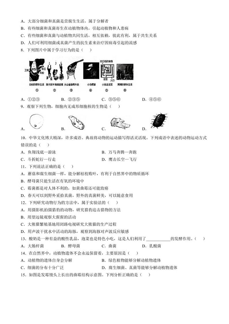 河南省安阳市2024～2025学年八年级(上)期中生物试卷(含答案)第2页