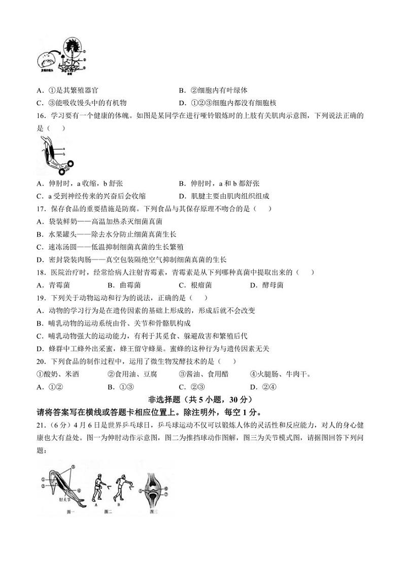 河南省安阳市2024～2025学年八年级(上)期中生物试卷(含答案)第3页
