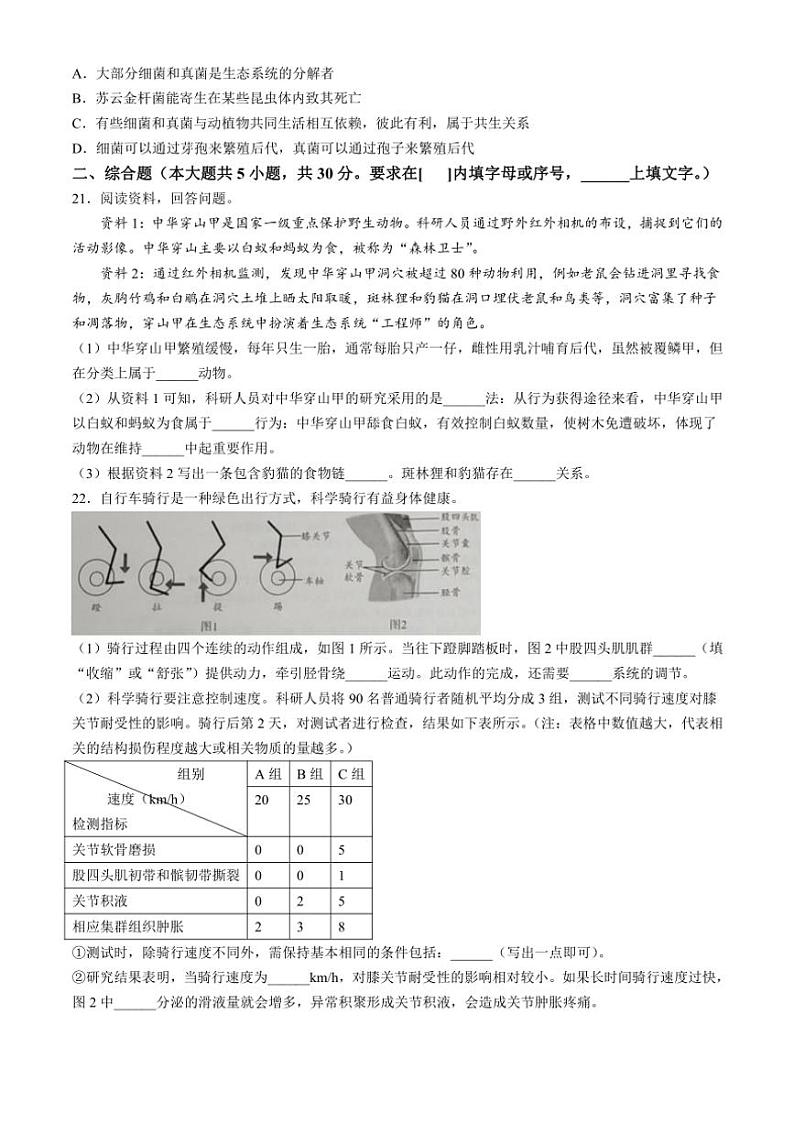 江西省赣州市经开区2024～2025学年八年级(上)期中生物试卷(含答案)03