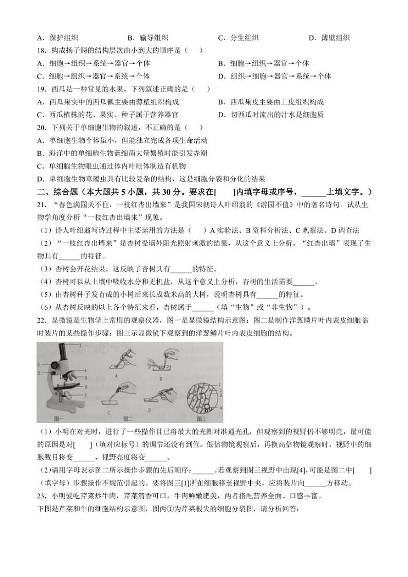 江西省赣州市经开区2024～2025学年七年级(上)期中生物试卷(含答案)第3页