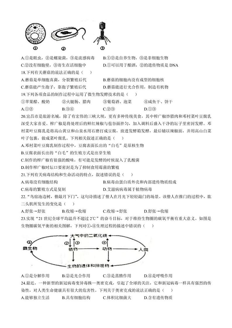 河北省秦皇岛市青龙满族自治县2024～2025学年八年级(上)期中生物试卷(含答案)第3页