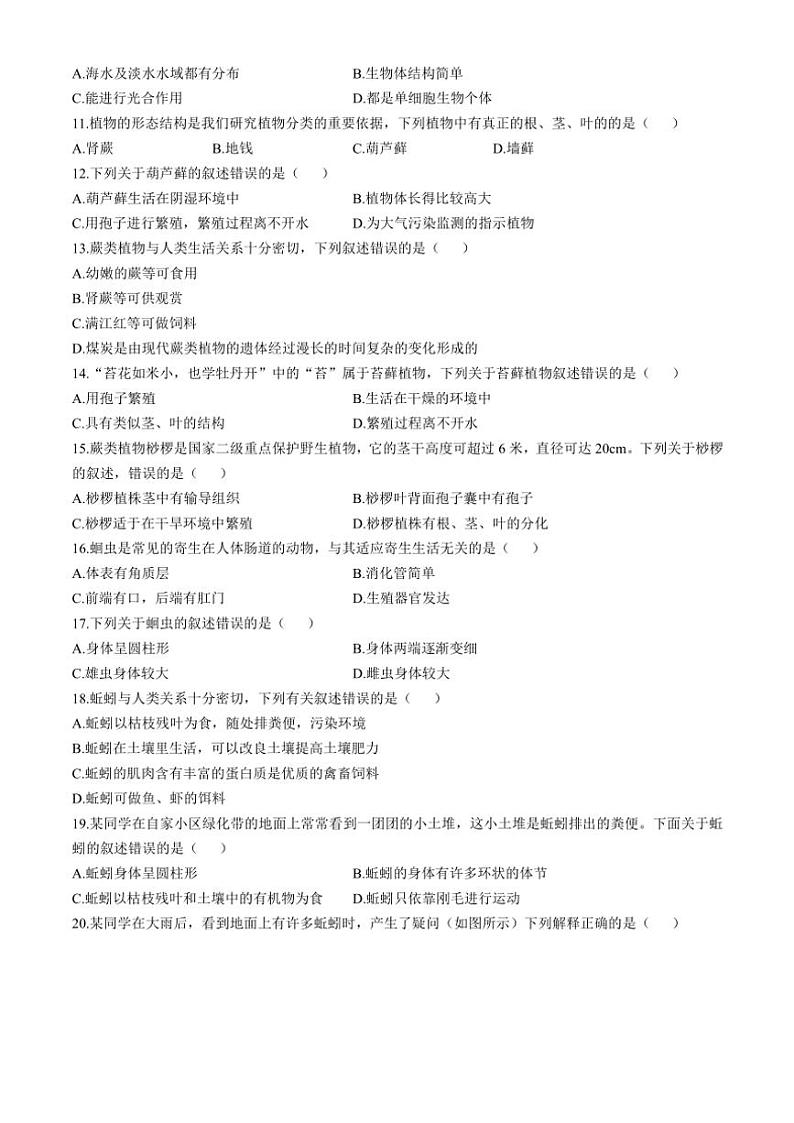 河北省保定市定州市2024～2025学年七年级(上)期中生物试卷(含答案)第2页