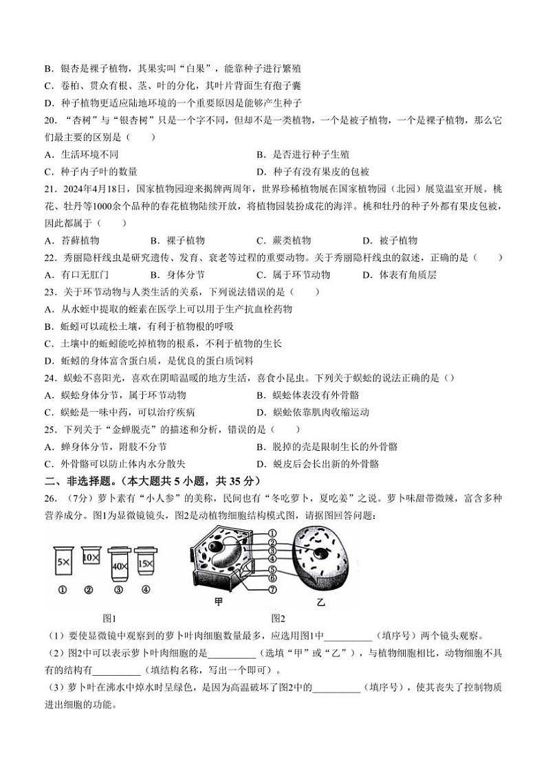 河北省邯郸市大名县2024～2025学年七年级(上)期中生物试卷(含答案)第3页