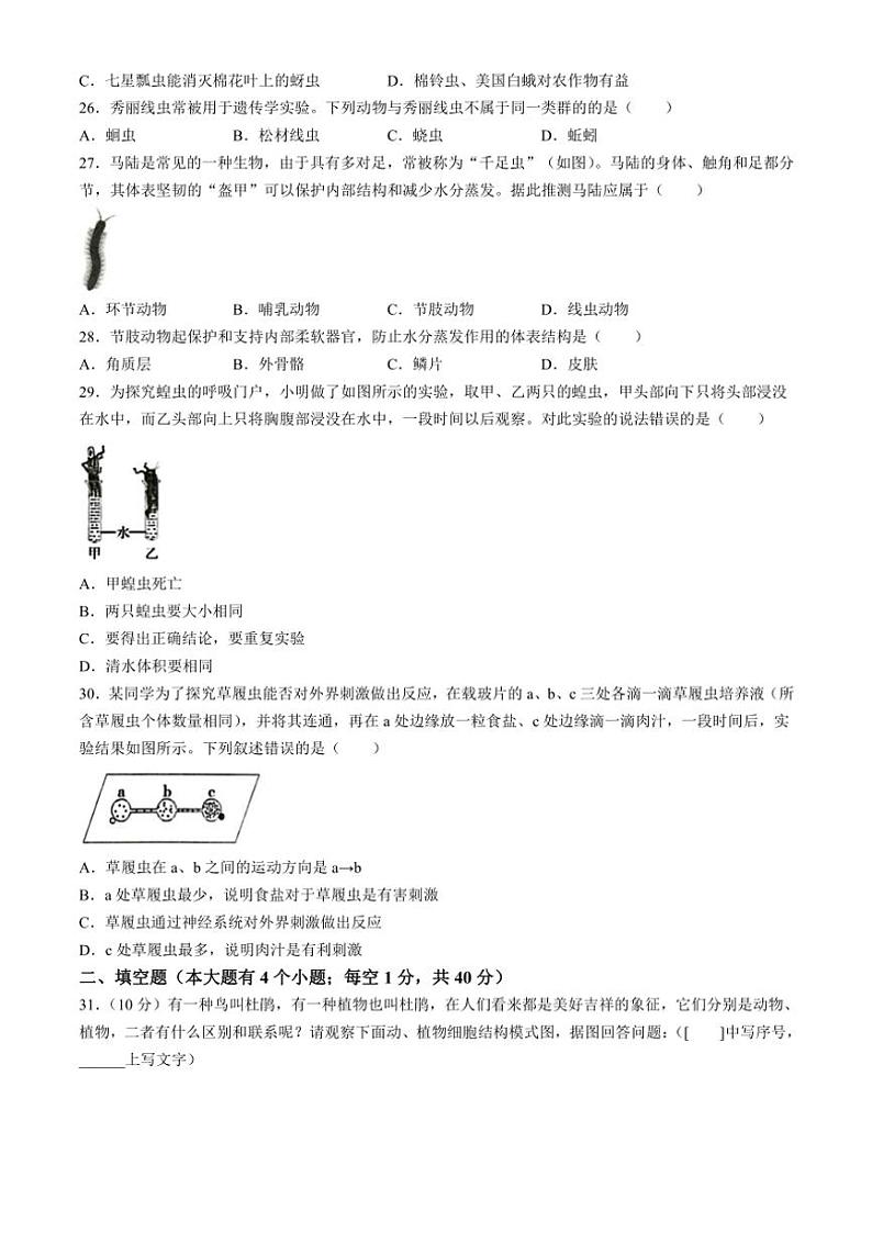 河北省石家庄市正定县2024～2025学年七年级(上)期中生物试卷(含答案)第3页