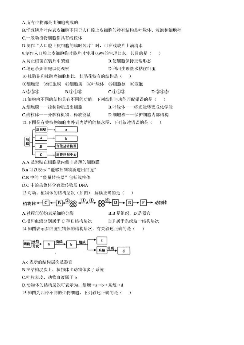河北省唐山市遵化市2024～2025学年七年级(上)期中生物试卷(含答案)第2页
