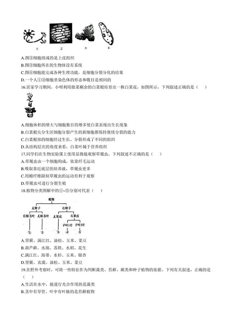 河北省唐山市遵化市2024～2025学年七年级(上)期中生物试卷(含答案)第3页